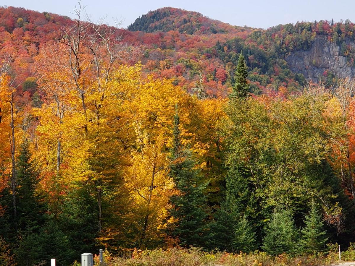 Chalet F116 Mont-Tremblant Nord Lac-Superieur Екстериор снимка