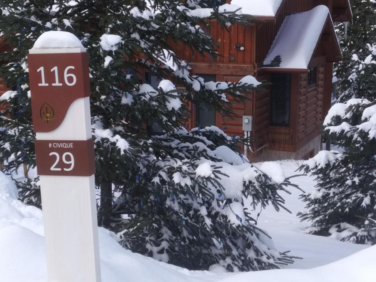 Chalet F116 Mont-Tremblant Nord Lac-Superieur Екстериор снимка