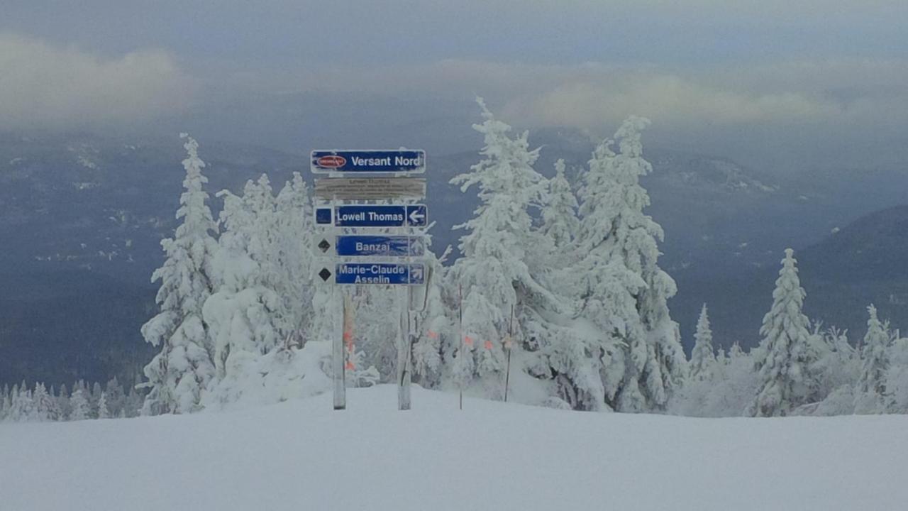 Chalet F116 Mont-Tremblant Nord Lac-Superieur Екстериор снимка